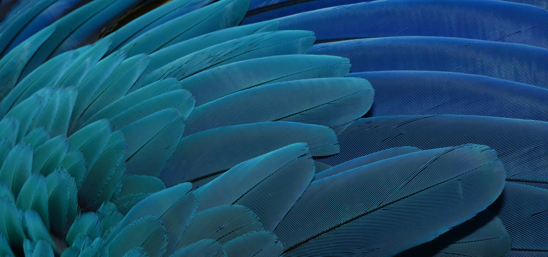 Frankston Web Design